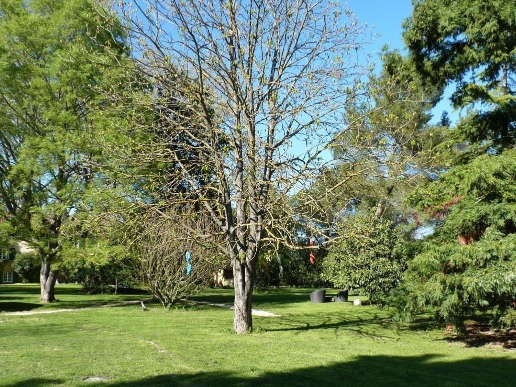 Domaine De Rhodes B&B Авиньон Екстериор снимка